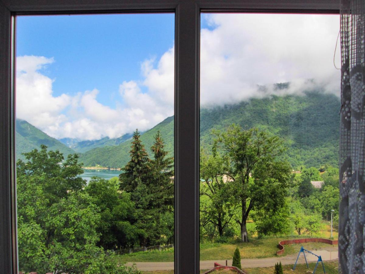 Guesthouse Mirkovic Pluzine Εξωτερικό φωτογραφία