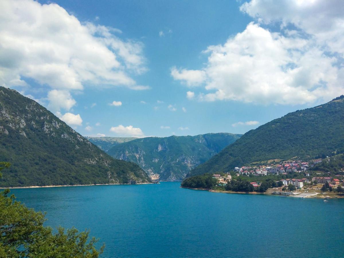Guesthouse Mirkovic Pluzine Εξωτερικό φωτογραφία