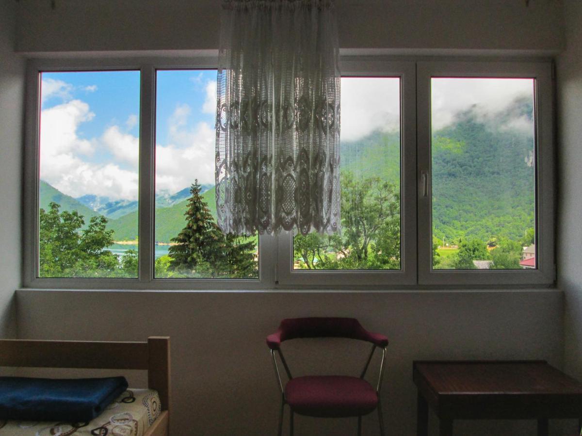 Guesthouse Mirkovic Pluzine Εξωτερικό φωτογραφία