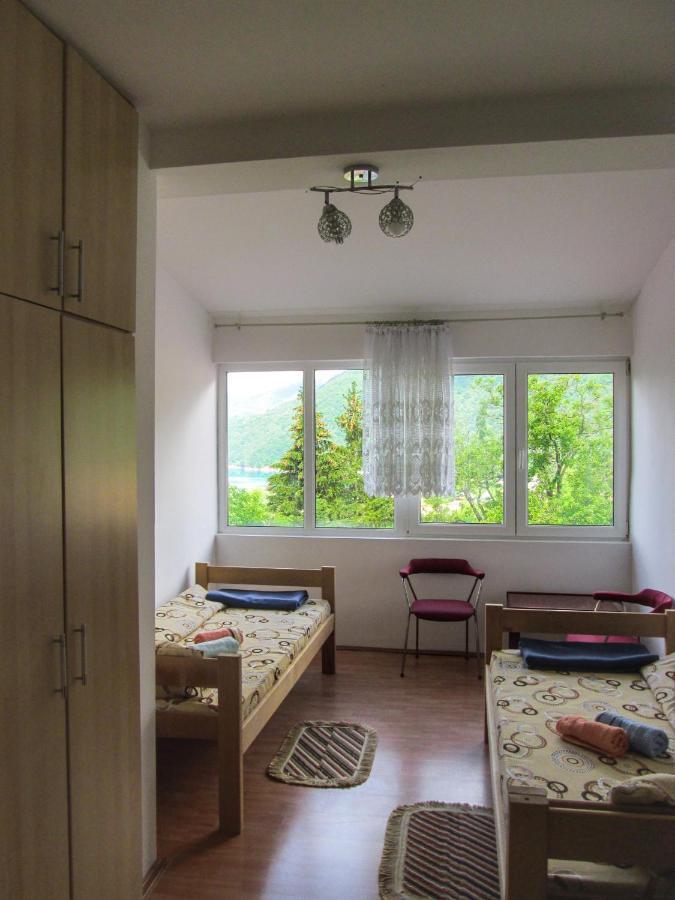 Guesthouse Mirkovic Pluzine Εξωτερικό φωτογραφία