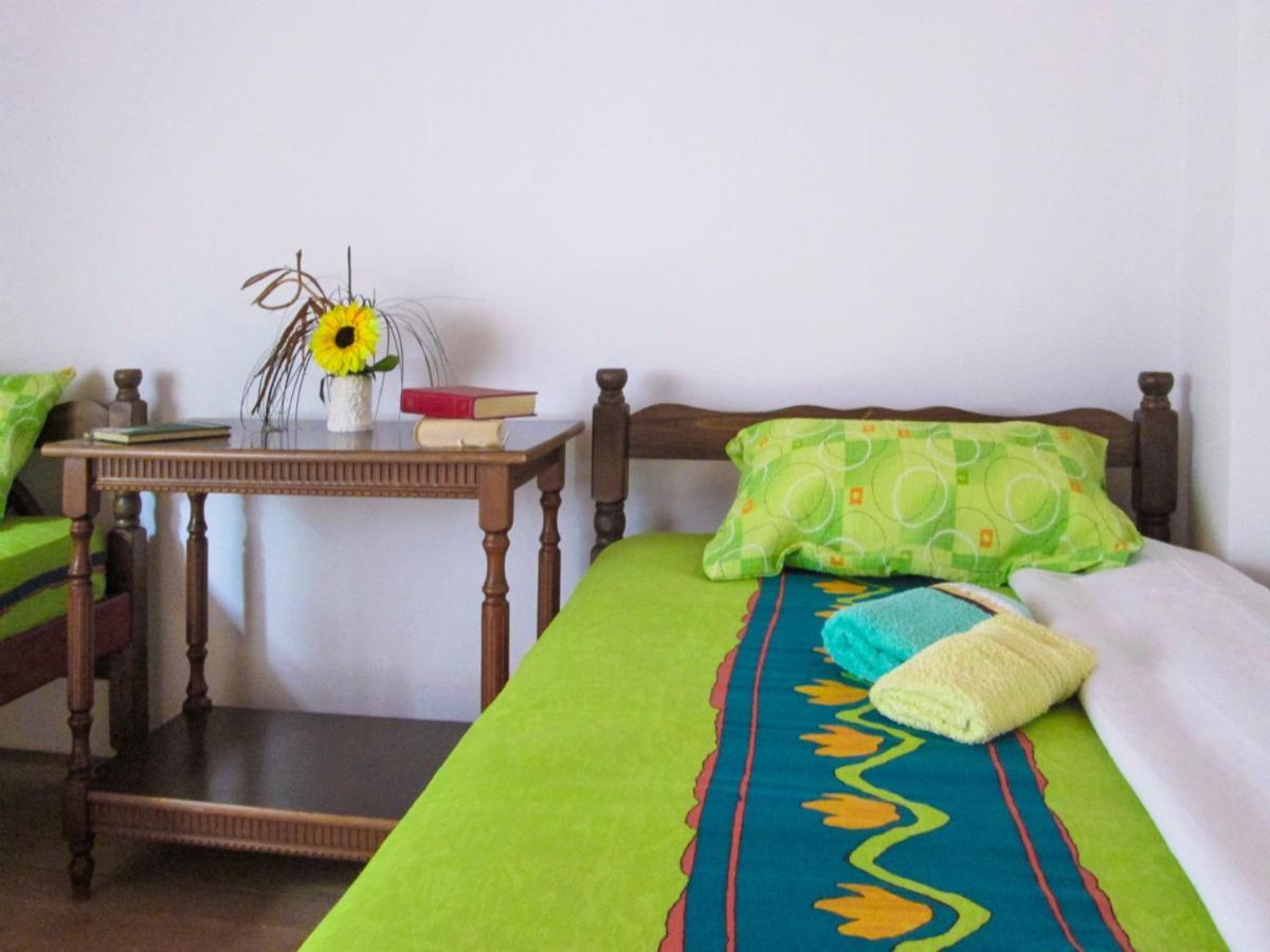 Guesthouse Mirkovic Pluzine Εξωτερικό φωτογραφία