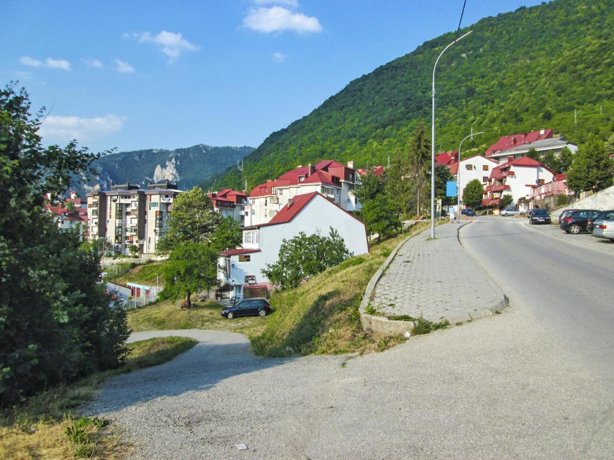 Guesthouse Mirkovic Pluzine Εξωτερικό φωτογραφία