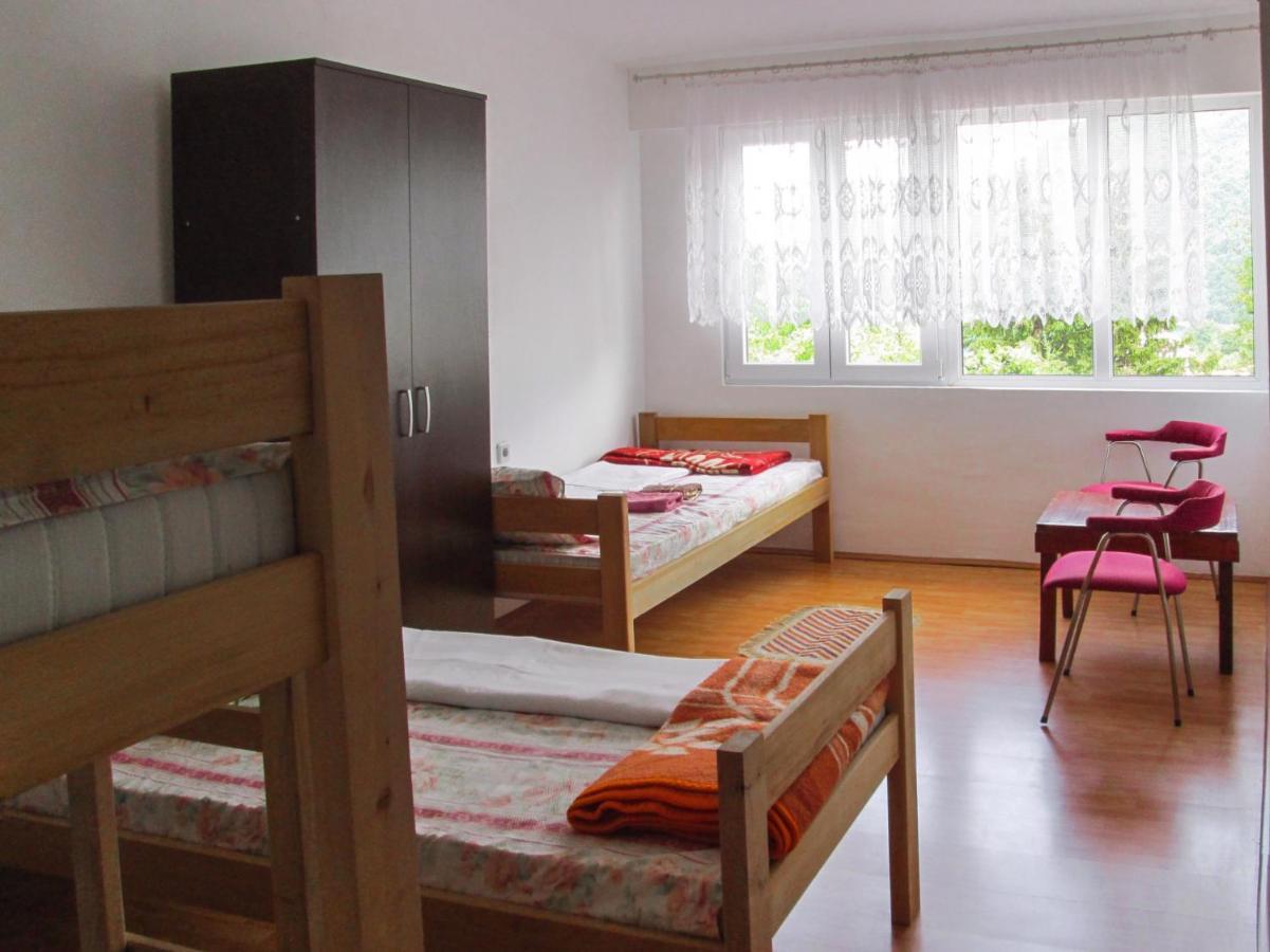 Guesthouse Mirkovic Pluzine Εξωτερικό φωτογραφία