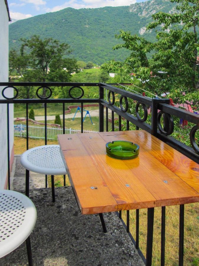 Guesthouse Mirkovic Pluzine Εξωτερικό φωτογραφία