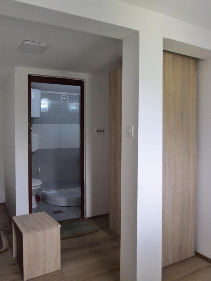 Guesthouse Mirkovic Pluzine Εξωτερικό φωτογραφία