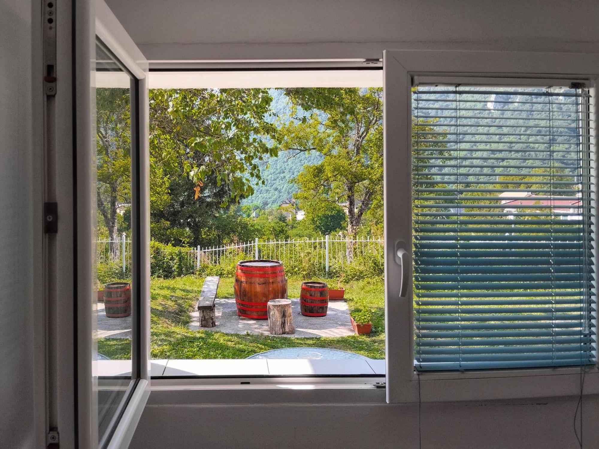 Guesthouse Mirkovic Pluzine Εξωτερικό φωτογραφία