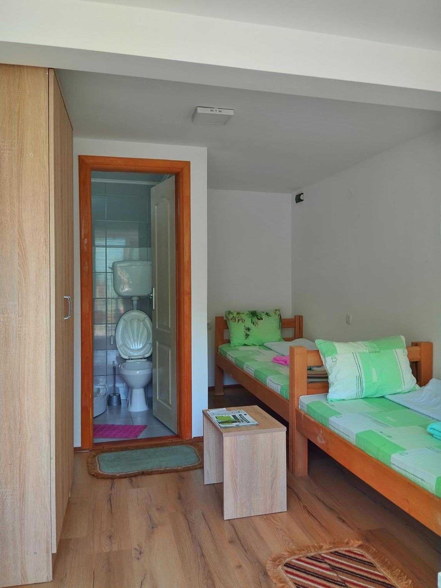 Guesthouse Mirkovic Pluzine Εξωτερικό φωτογραφία