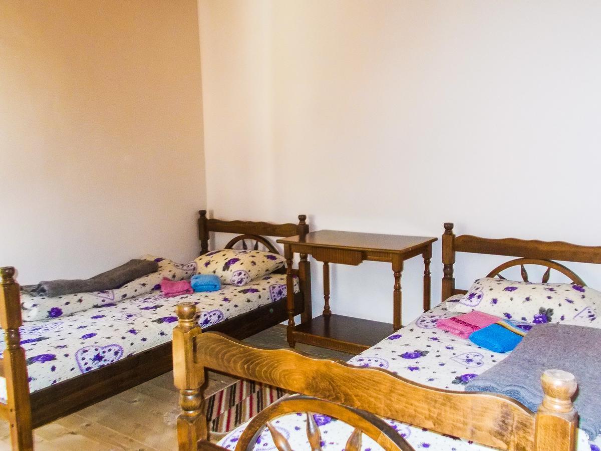Guesthouse Mirkovic Pluzine Εξωτερικό φωτογραφία