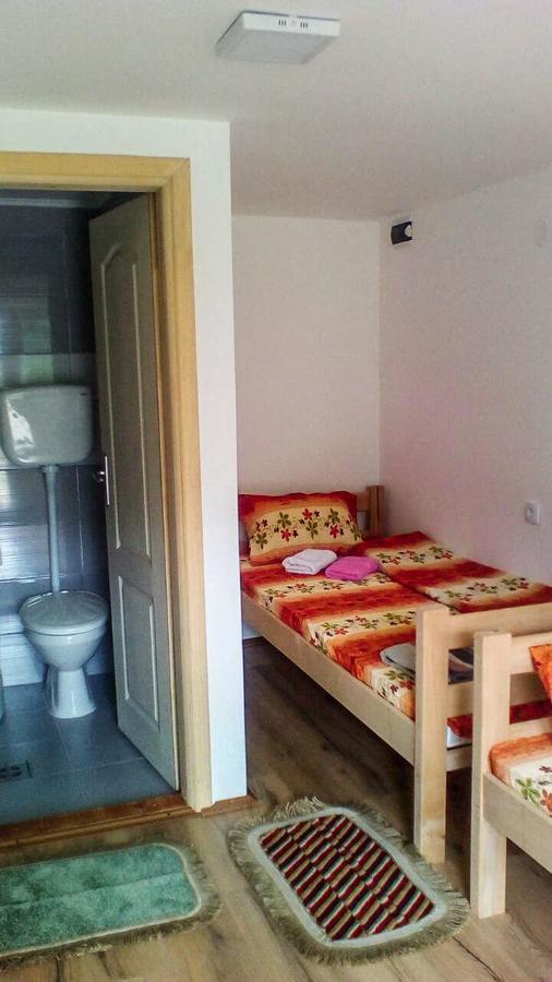 Guesthouse Mirkovic Pluzine Εξωτερικό φωτογραφία