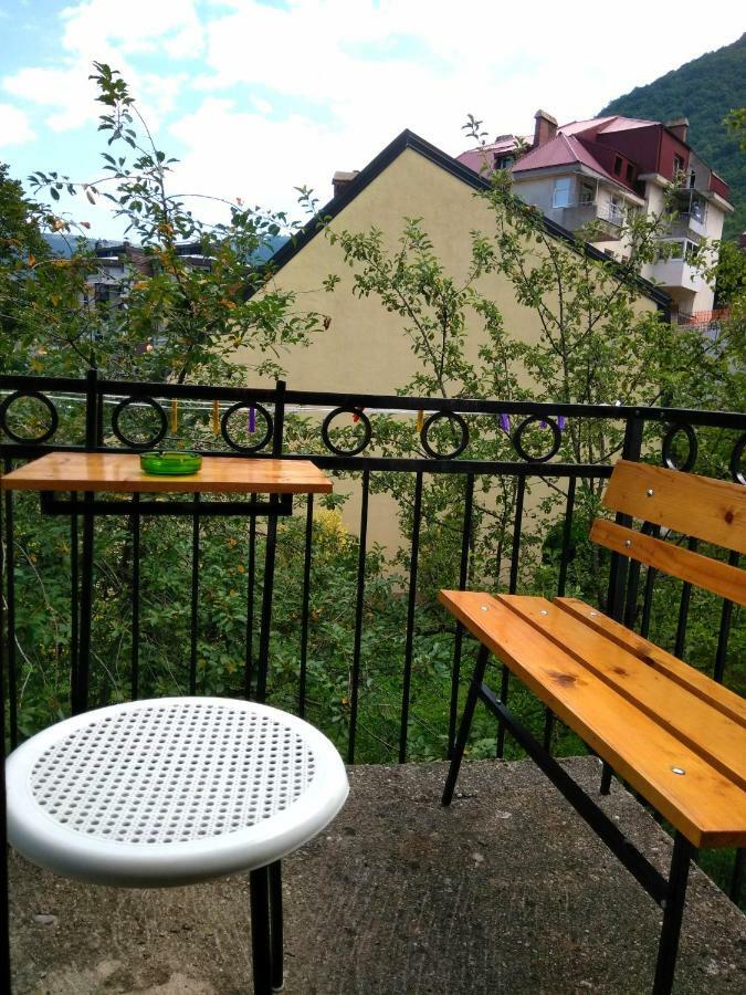 Guesthouse Mirkovic Pluzine Εξωτερικό φωτογραφία